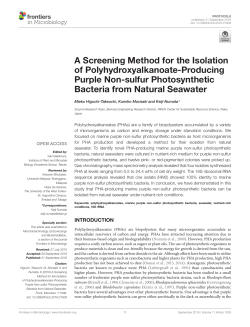 A Screening Method for the Isolation of