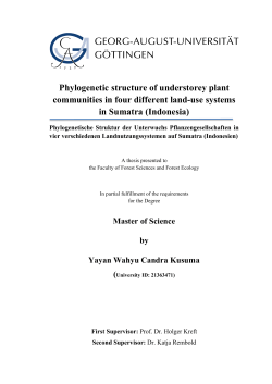 Phylogenetic structure of understorey plant communities in four