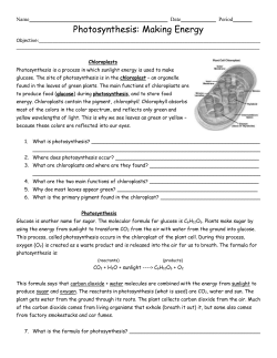 Photosynthesis Worksheet