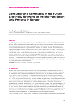 Consumer and Community in the Future Electricity Network: an
