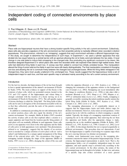 Independent coding of connected environments by place cells