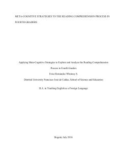 applying meta-cognitive strategies to explore and analize the
