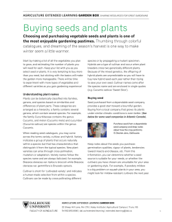 Buying seeds and plants
