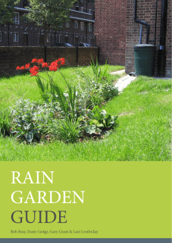 rain garden guide