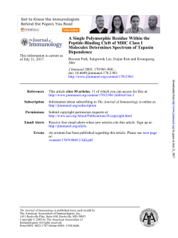 Dependence Molecules Determines Spectrum of Tapasin Peptide
