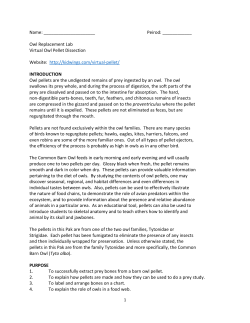 1.What are owl pellets?