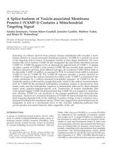 A Splice-Isoform of Vesicle-associated Membrane Protein