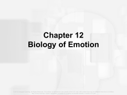 Fear and Anxiety (cont`d.)