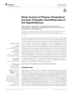 Brain Control of Plasma Cholesterol Involves Polysialic Acid