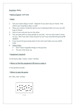 Leaf Leap - ntschools.net