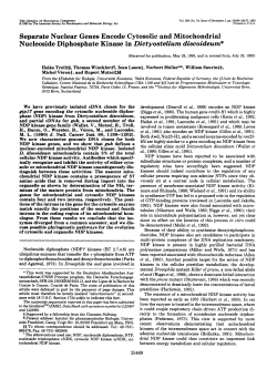 Separate Nuclear Genes Encode Cytosolic and Mitochondrial