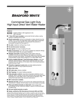 Commercial Gas Light Duty High Input Direct Vent