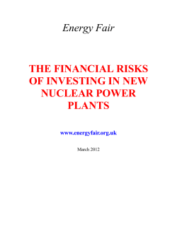 The Financial Risks of Investing in Nuclear Power