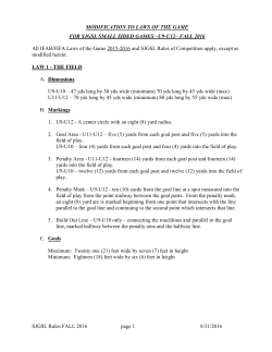 Small Sided Modifications to Laws of the Game