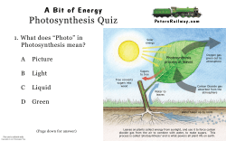 Photosynthesis Quiz
