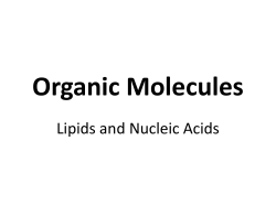 Lipids and Nucleic Acids