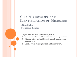Microscopy and Identification of Microbes