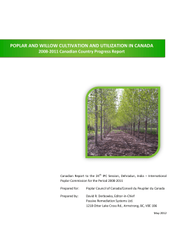 poplar and willow cultivation and utilization in canada