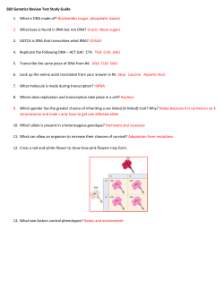 SB2 Genetics Review Test Study Guide What is DNA made of