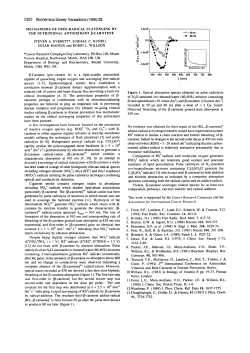 MECHANISMS OF FREE-RADICAL SCAVENGING BY THE
