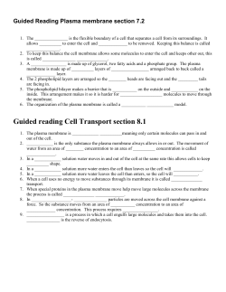 Guided Reading Plasma membrane section 7.2