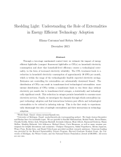 Understanding the Role of Externalities in Energy Efficient