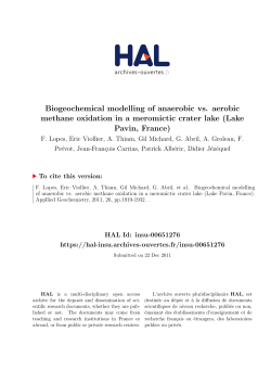 Biogeochemical modelling of anaerobic vs. aerobic - HAL-Insu