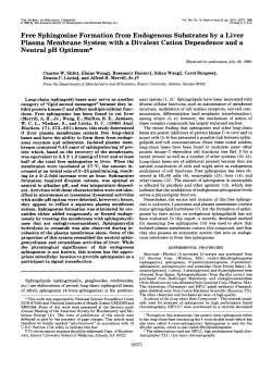 Free Sphingosine Formation from Endogenous
