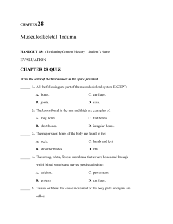 Chapter 28 Quiz - Northwest ISD Moodle