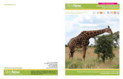 Discover the world of ecosystems and the players involved by