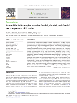 Drosophila SMN complex proteins Gemin2, Gemin3, and
