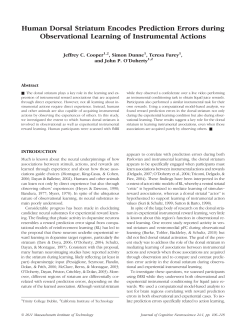 Human Dorsal Striatum Encodes Prediction Errors during