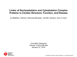 Powerpoint - Circulation Research