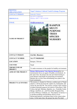 rampur multi purpose trees species nursery
