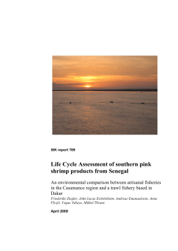 Life Cycle Assessment of southern pink shrimp products from Senegal