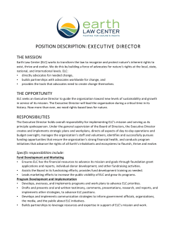 position description: executive director
