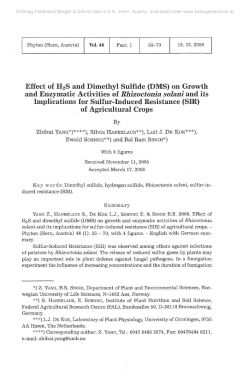 Effect of H2S and Dimethyl Sulfide (DMS) on Growth and Enzymatic