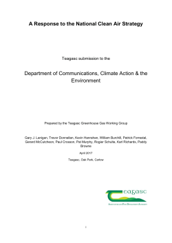 A Response to the National Clean Air Strategy