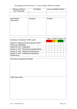 Traffic Light Inspection Template