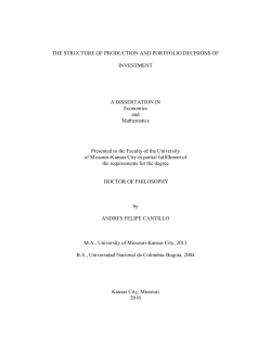 The Structure of Production and Portfolio Decisions of
