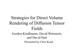 Strategies for Direct Volume Rendering of Diffusion Tensor Fields