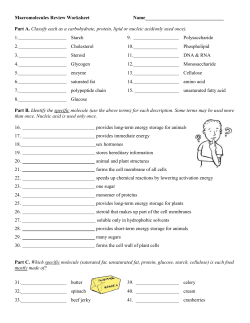 Macromolecules Worksheet #2