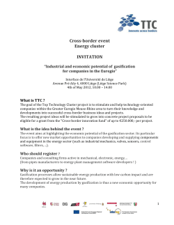 Industrial and economic potential of gasification for companies in the