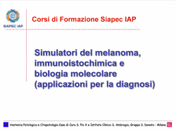 Diapositiva 1 - Siapec