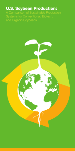 US Soybean Production