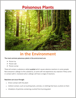 in the Environment Poisonous Plants