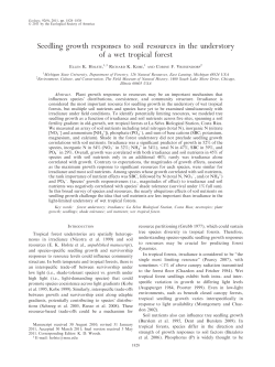 Seedling growth responses to soil resources in the understory of a