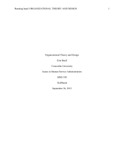Organizational Theory and Design