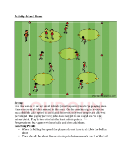 Activity- Island Game Set up Use disc cones to set