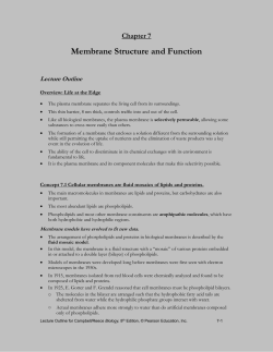 CHAPTER 8 MEMBRANE STUCTURE AND FUNCTION